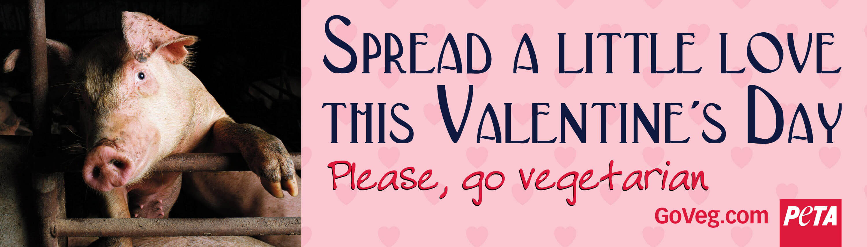 Spread a Little Love This Valentine's Day