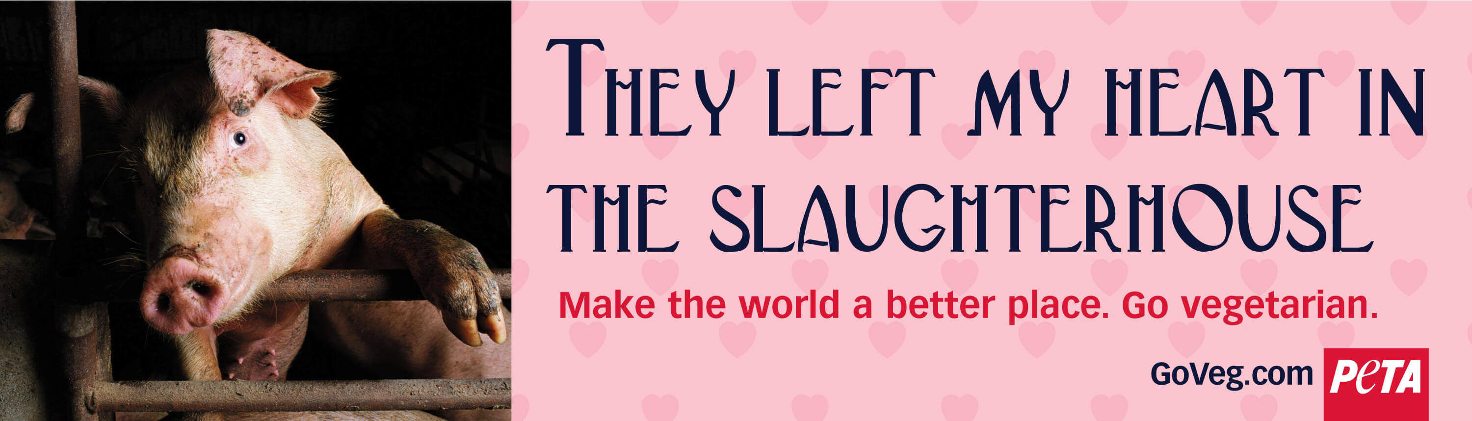 They Left My Heart in the Slaughterhouse