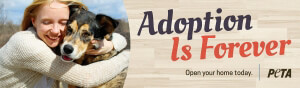 Adoption is forever billboard