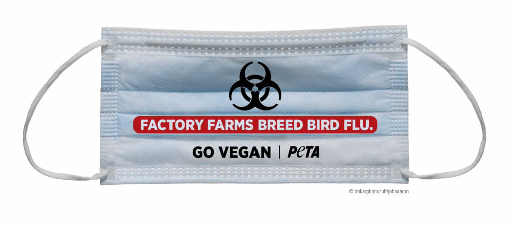 PETA Bird-Flu Mask