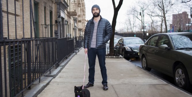 Men Can Be Crazy Cat Ladies, Too
