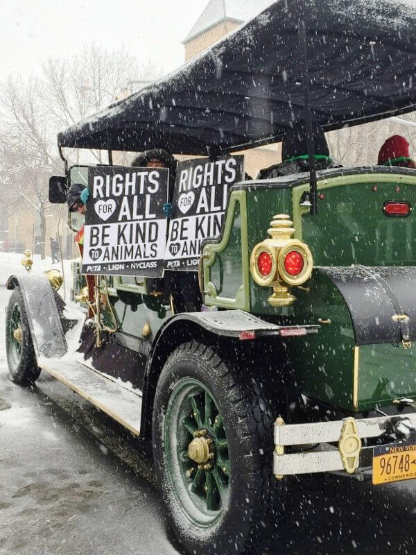 PETA's eCarriage in Queens St. Pat's For All Parade