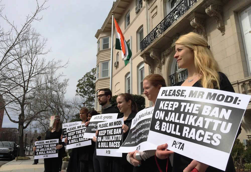 PETA Protesters Outside Indian embassy in DC