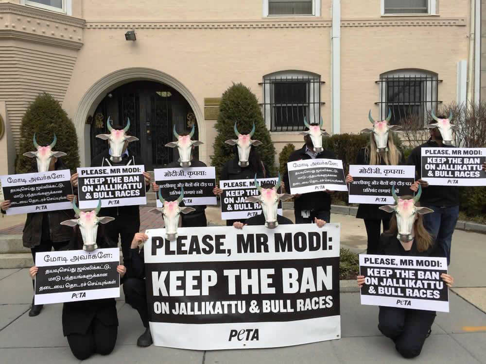 PETA Protest Outside Indian Embassy