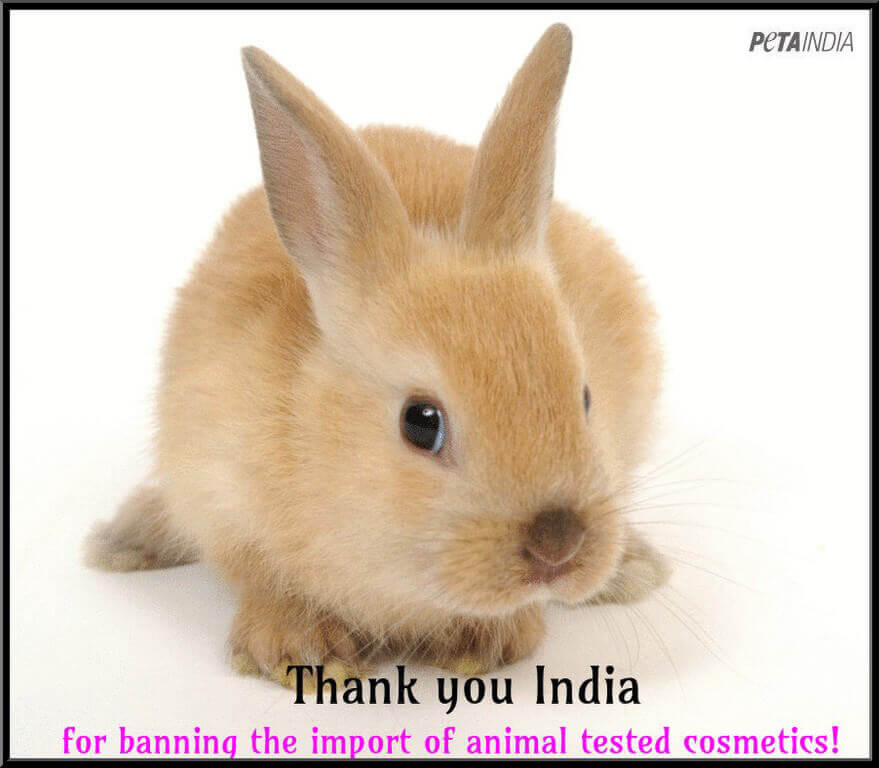 2014 – India Bans Animal-Tested Cosmetics