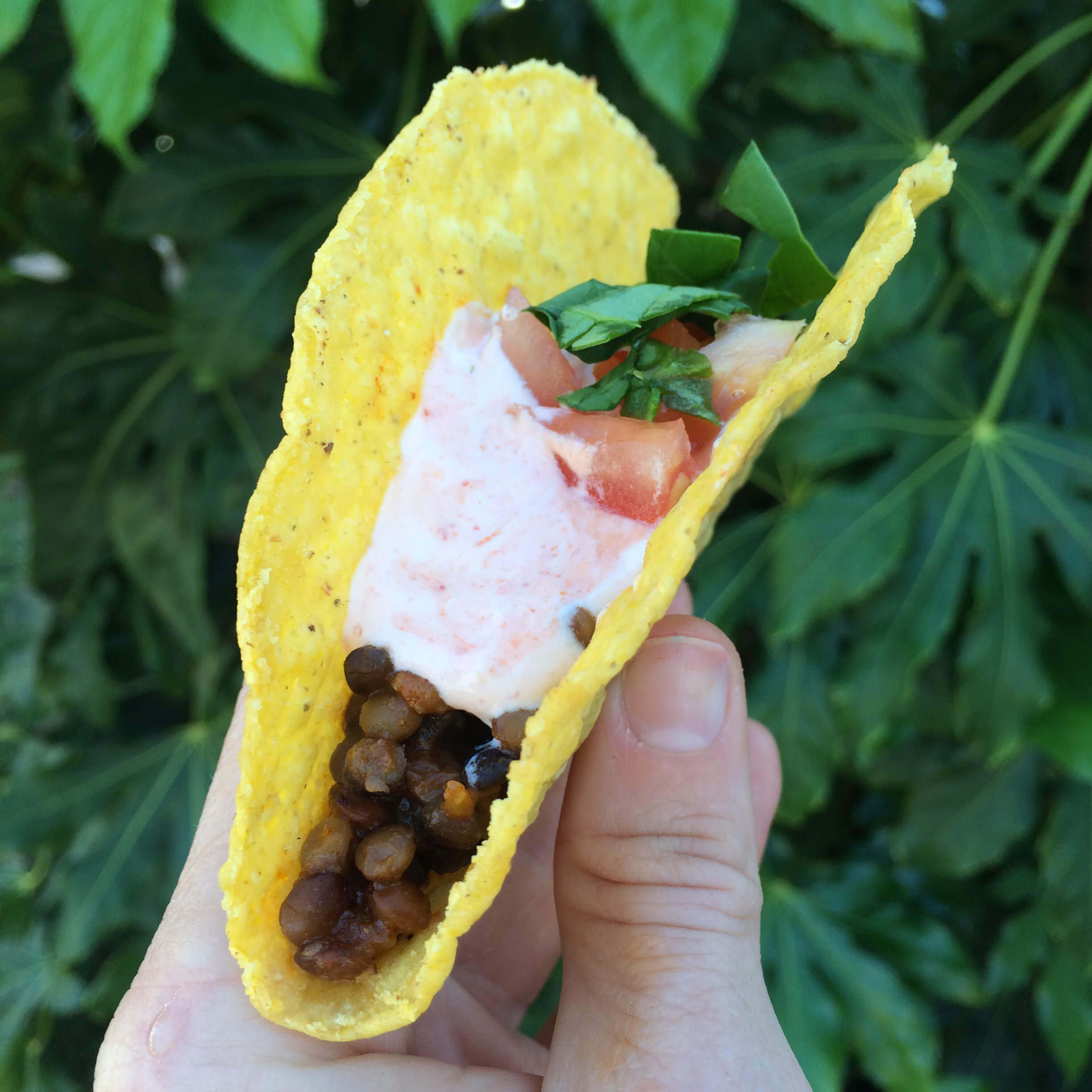 Lentil Taco