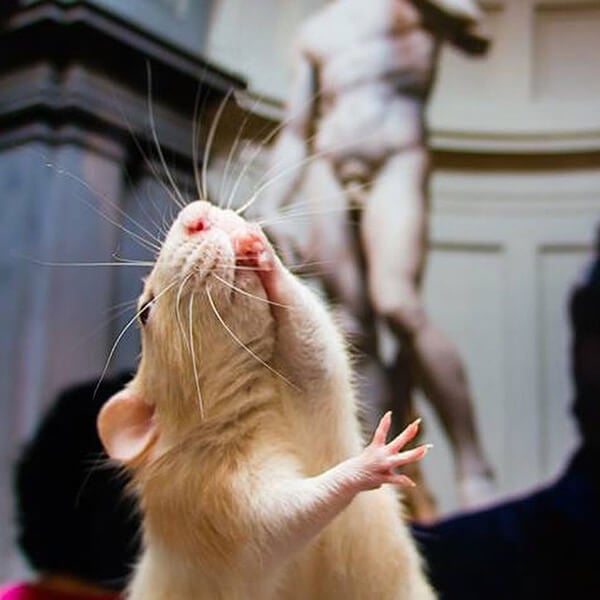 Marty Appreciates Art