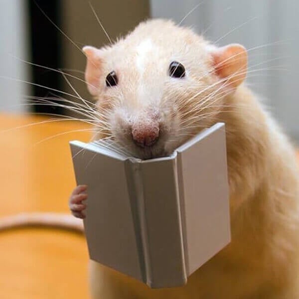Marty Reads a Book