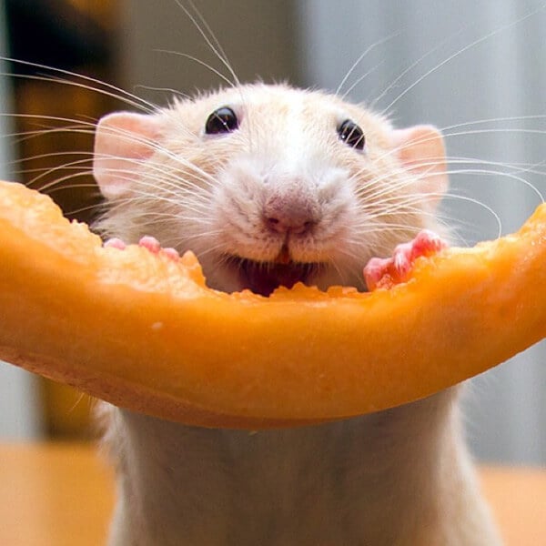 Marty Snacking