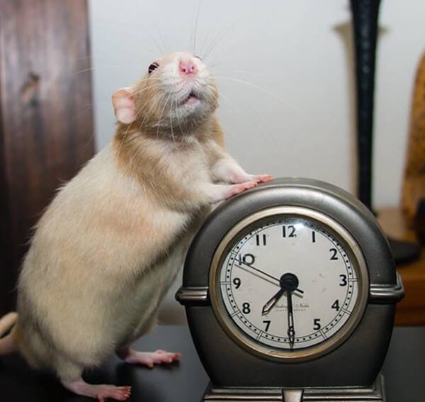 Marty with Clock