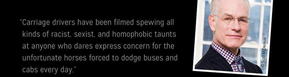 Tim Gunn: Ban Horse-Drawn Carriages