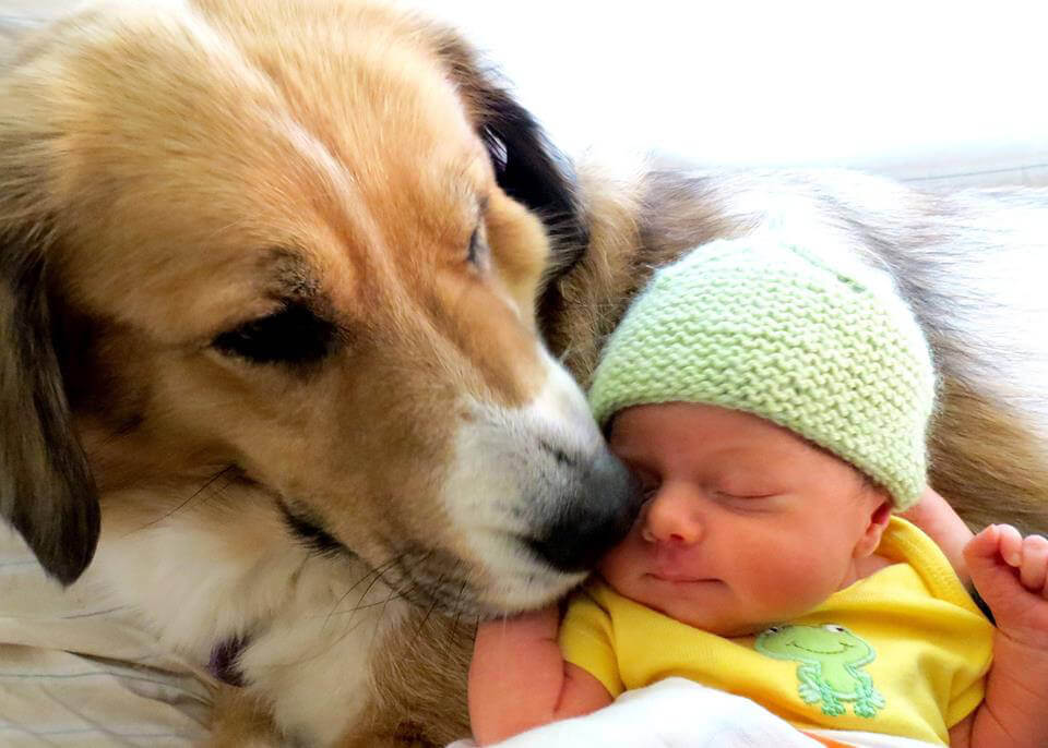 newborn baby and dog