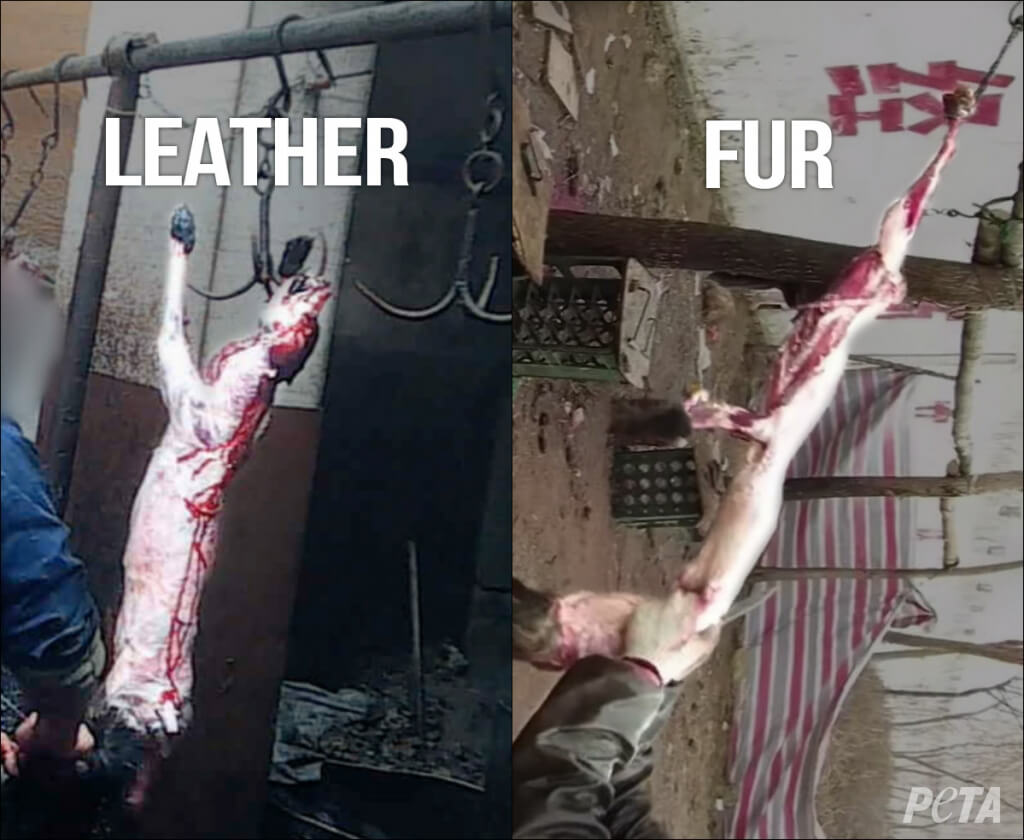 SKINNED Leather vs Fur