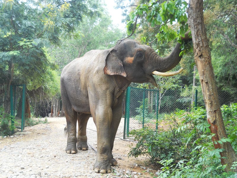 Sunder Happy at Sanctuary