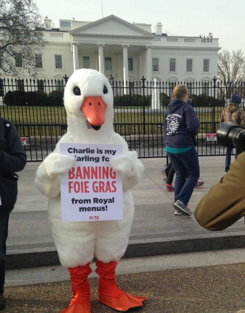 white house prince charles foie gras duck demo