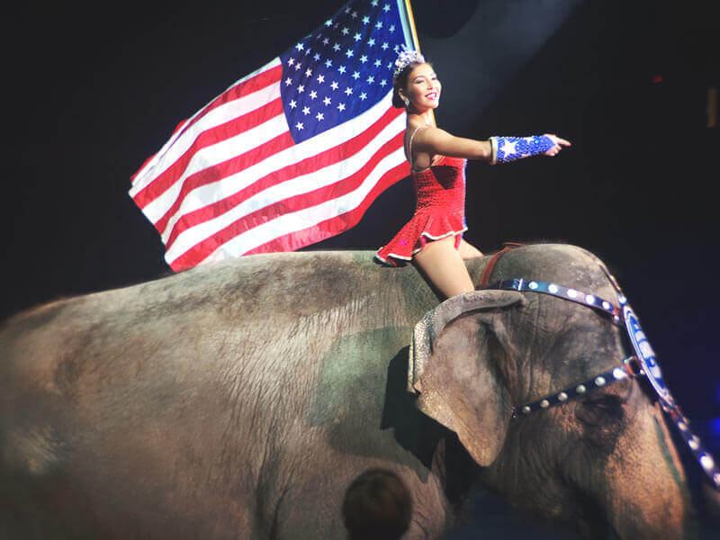 Image result for riding an elephant in the circus