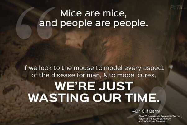 animal testing quotes against