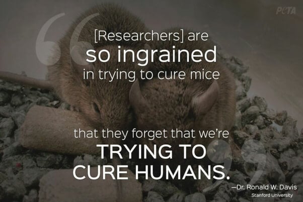 Animal Research Quotes