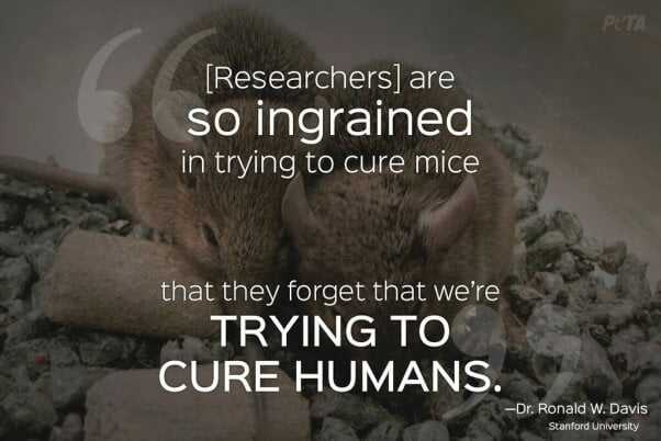 Expert Quotes Prove That Animal Testing Is Wrong  PETA