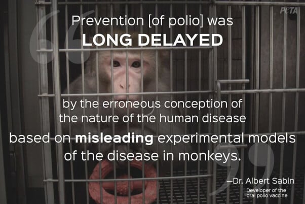 Animal-Research-Quotes4-602x402.jpg