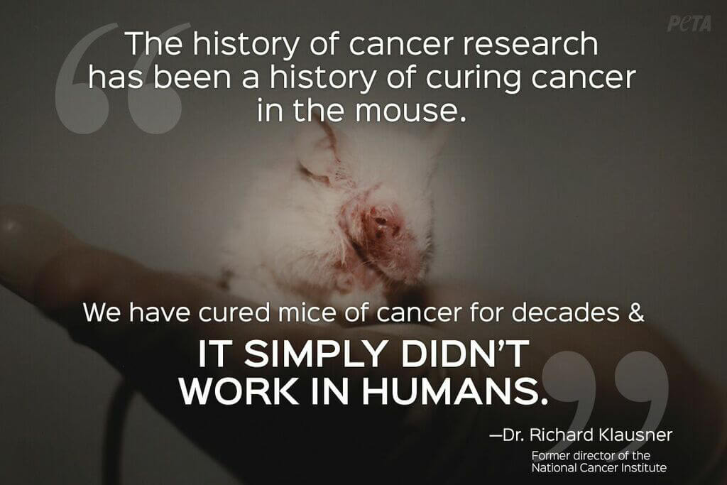 Top Five Reasons to Stop Animal Testing | PETA
