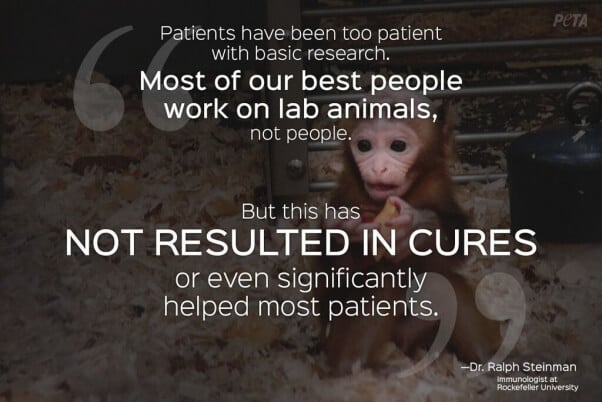 Animal-Research-Quotes7-602x402.jpg