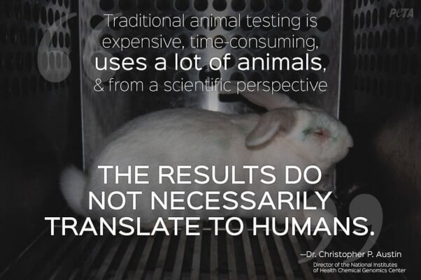 speech against animal testing