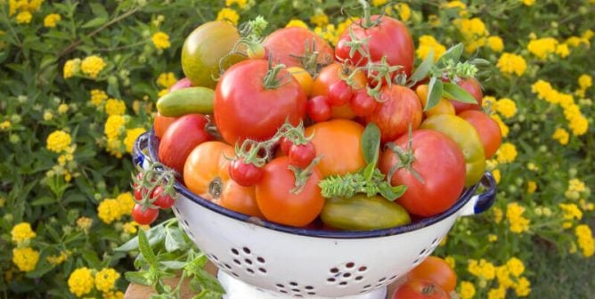 This One Diet Change Can Reduce Heart Disease by 32%