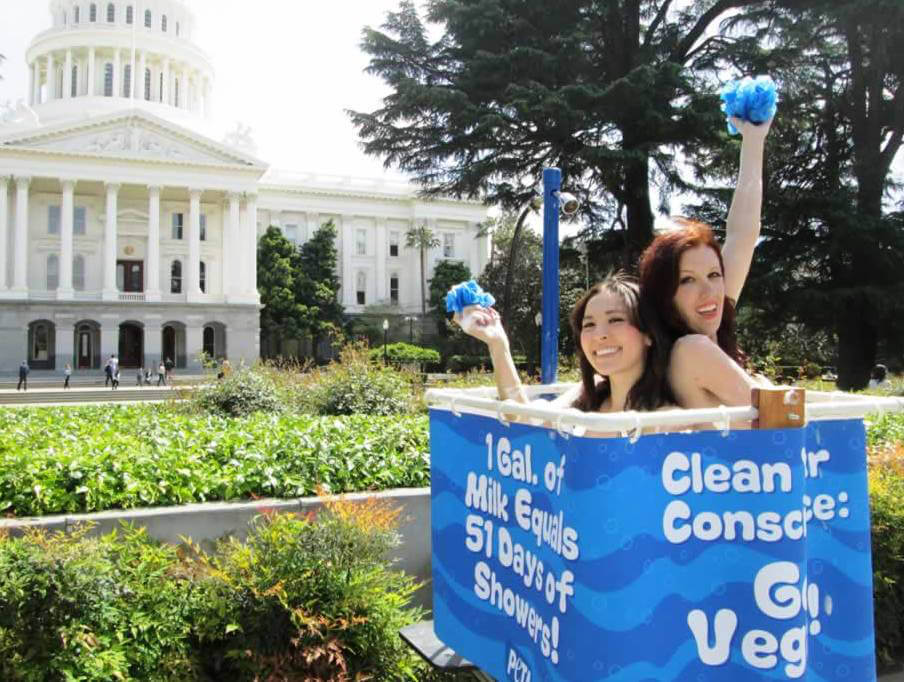PETA Shower Demo at California Capitol