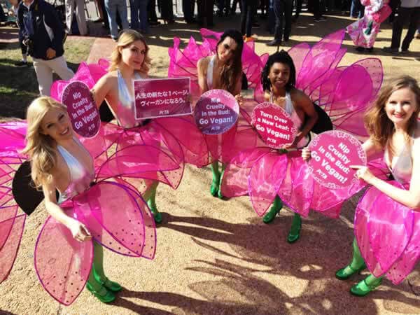 PETA Supporters at Washington DC Cherry Blossom Festival