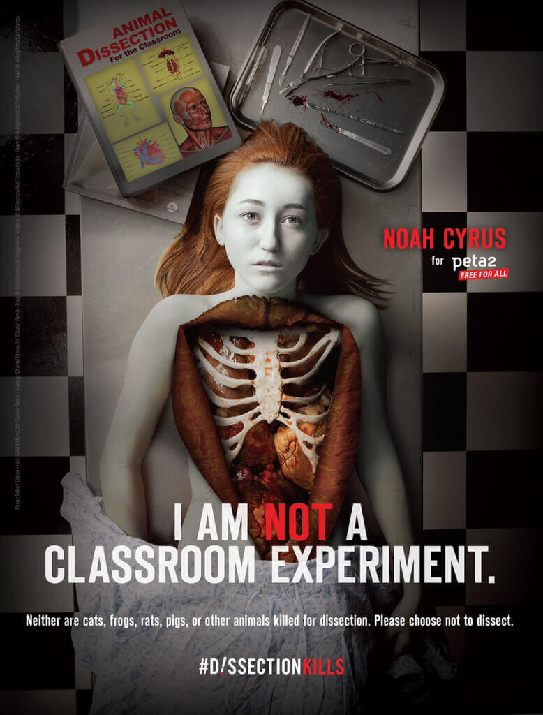 Noah Cyrus: I Am Not a Classroom Experiment