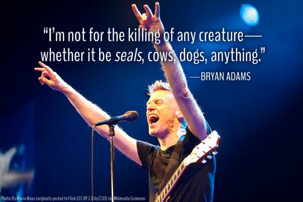 Bryan Adams