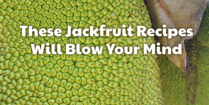Jackfruit Recipes That Will Blow Your Mind (and Taste Buds)