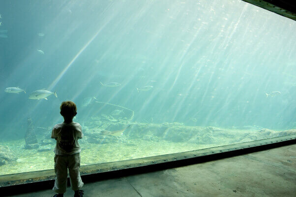 Aquarium