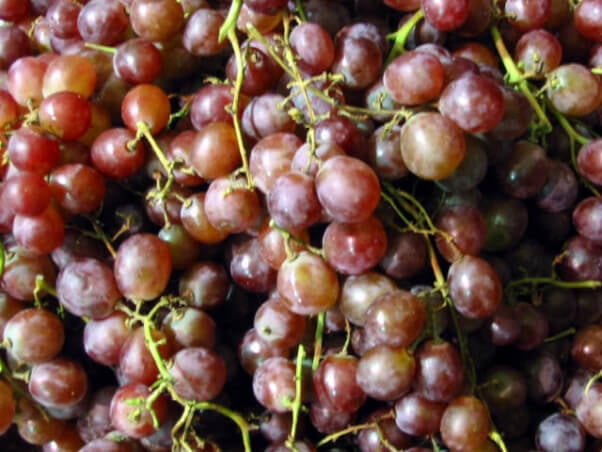 Grapes