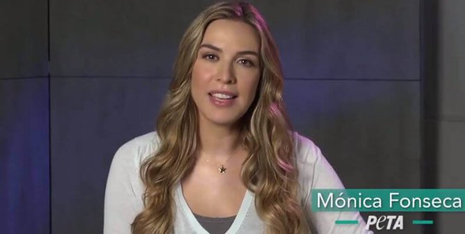 Mónica Fonseca: Don’t Take Your Family to SeaWorld