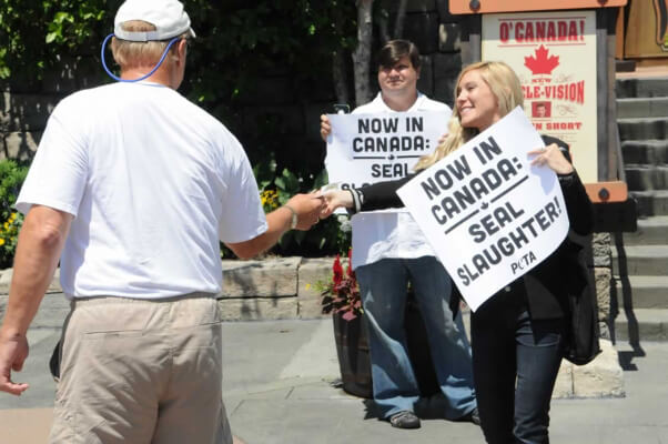 Epcot Center Seal Slaughter Protest