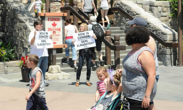 Epcot Center Seal Slaughter Protest