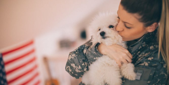 WATCH: Service Members Reunited With Their Dogs