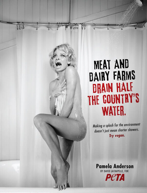 Pamela Anderson: Making a Splash for the Environment (1)