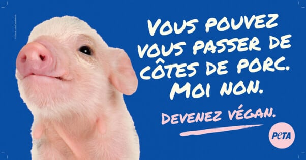 Devenez Vegan French PETA BB