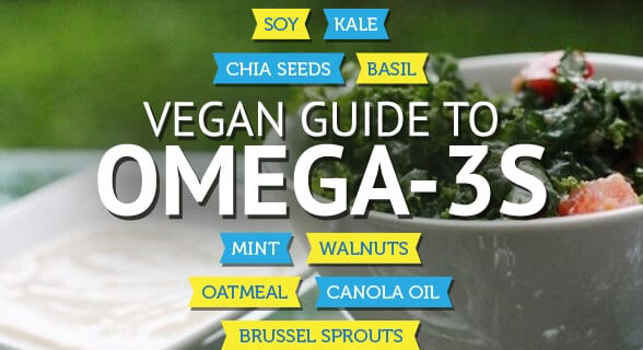 PETALiving-social-vegan-recipes-packed-with-omega3s-v03