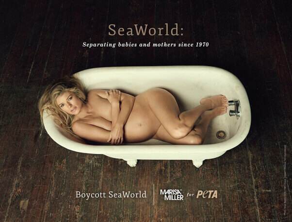 Marisa Miller: Boycott SeaWorld