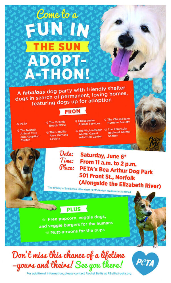 adoptathon poster 