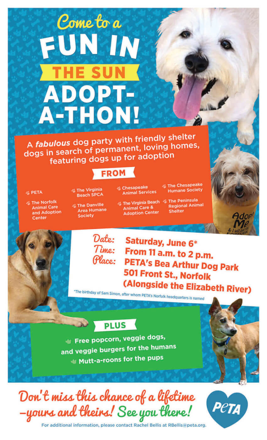 Seven Virginia Animal Shelters to Bring Dogs to 'Adopt-a-Thon' at PETA  Headquarters | PETA