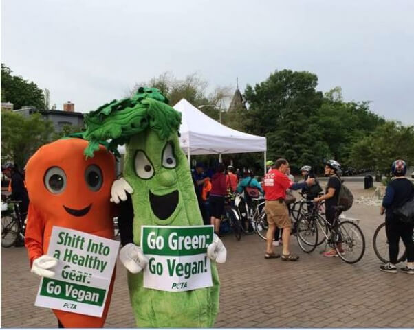 Bike to Work Day demo