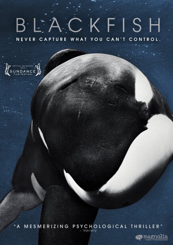 blackfish