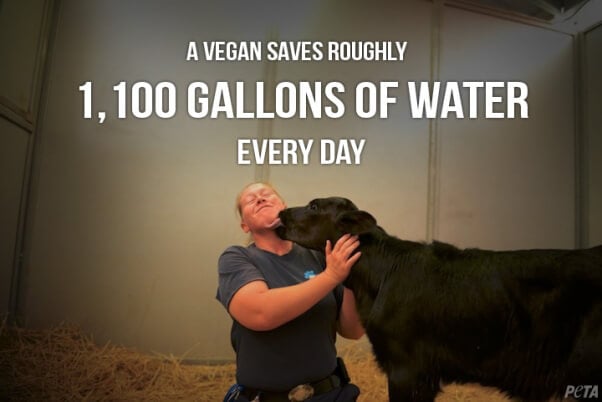 vegans save water