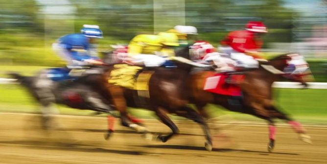 Kentucky Derby Champion Saved From Slaughter