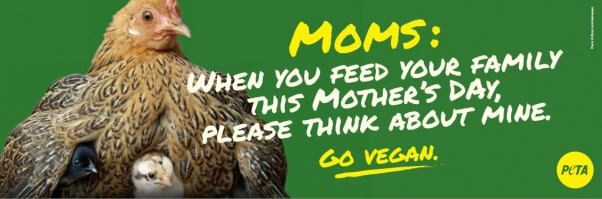 PETA Mother's Day Billboard